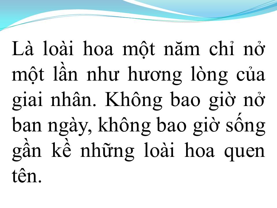 Lời bài hát CHUYỆN LOÀI HOA THỦY CHUNG
