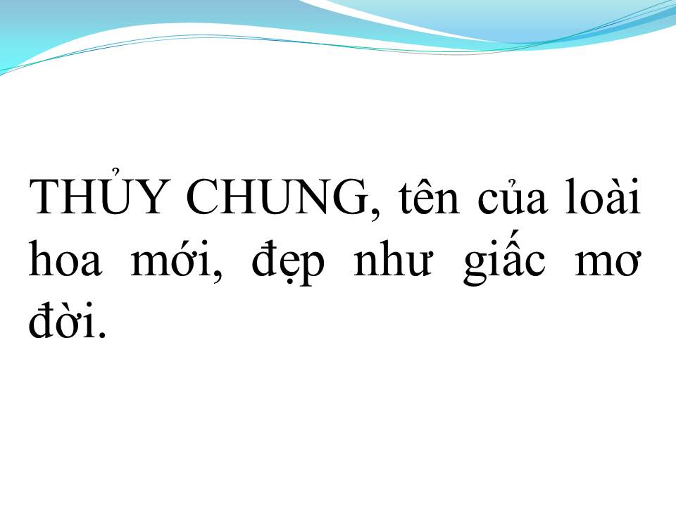 Lời bài hát CHUYỆN LOÀI HOA THỦY CHUNG
