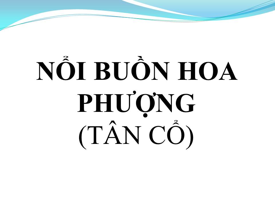 Lời bài hát NỔI BUỒN HOA PHƯỢNG (TÂN CỔ)