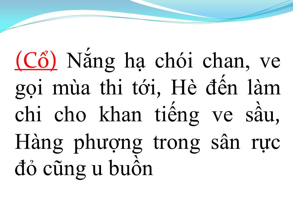 Lời bài hát NỔI BUỒN HOA PHƯỢNG (TÂN CỔ)