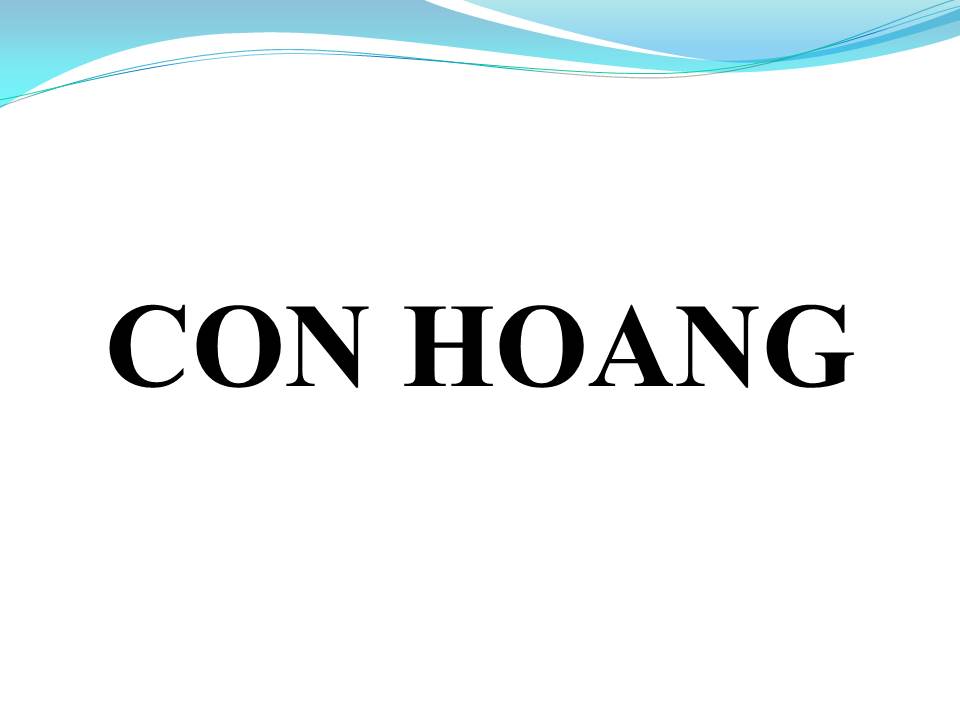 Lời bài hát CON HOANG