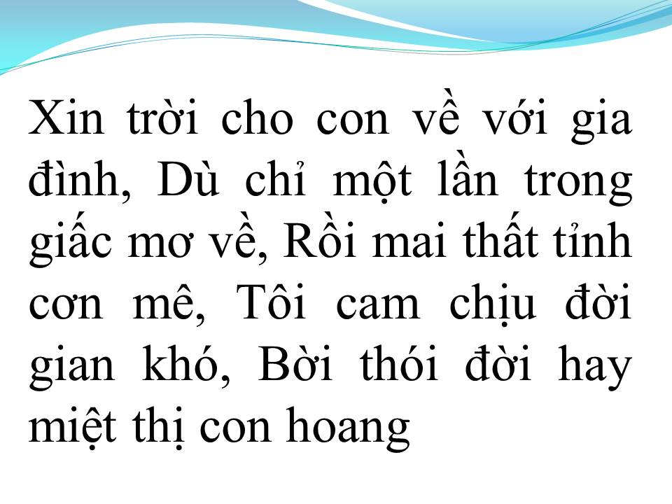 Lời bài hát CON HOANG