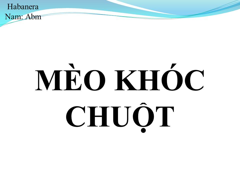 Lời bài hát MÈO KHÓC CHUỘT