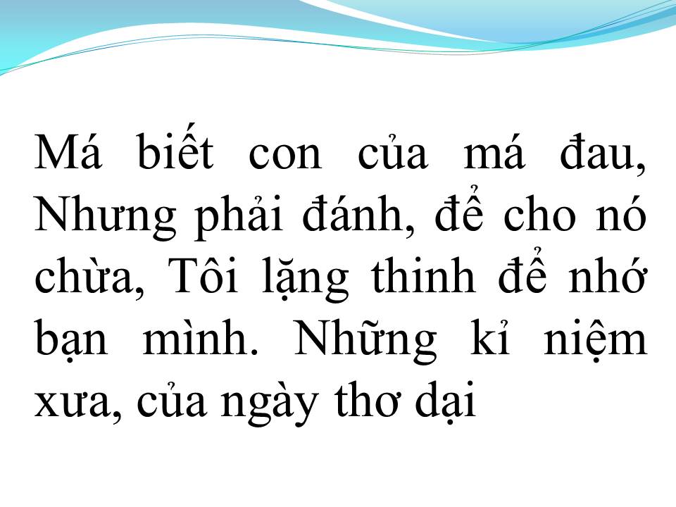 Lời bài hát MẸ NGUYỄN THỊ SINH (TÂN CỔ)