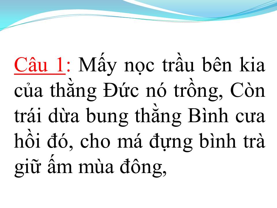 Lời bài hát MẸ NGUYỄN THỊ SINH (TÂN CỔ)