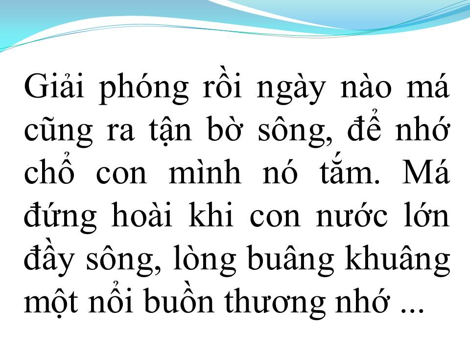 Lời bài hát MẸ NGUYỄN THỊ SINH (TÂN CỔ)