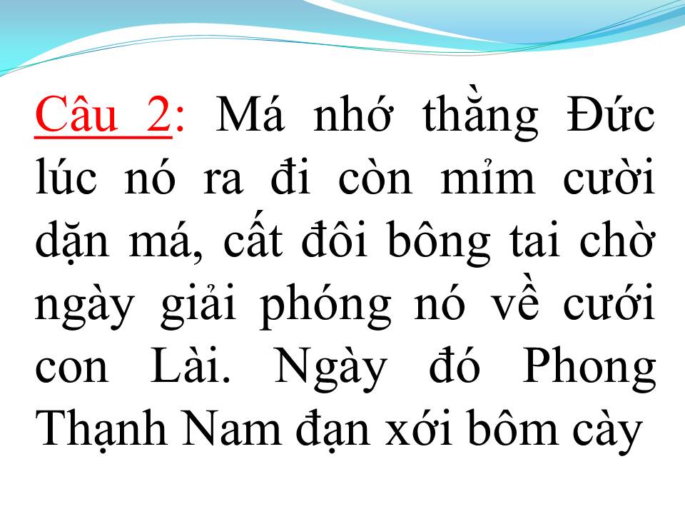 Lời bài hát MẸ NGUYỄN THỊ SINH (TÂN CỔ)
