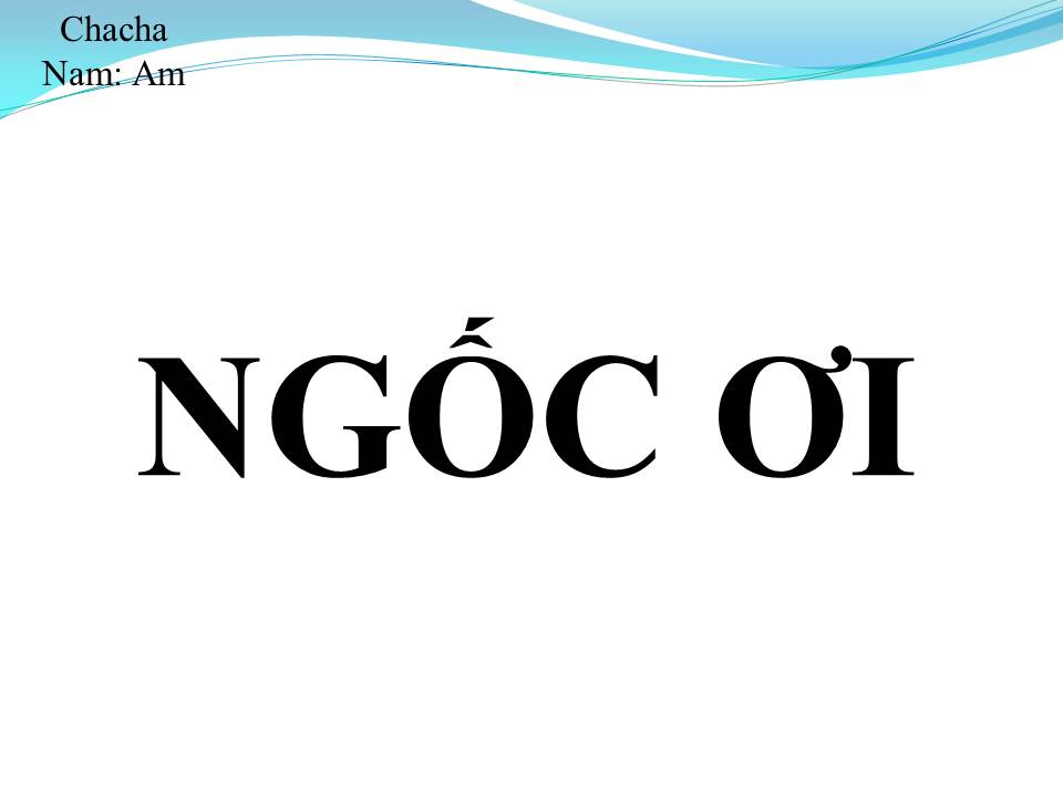 Lời bài hát NGỐC ƠI