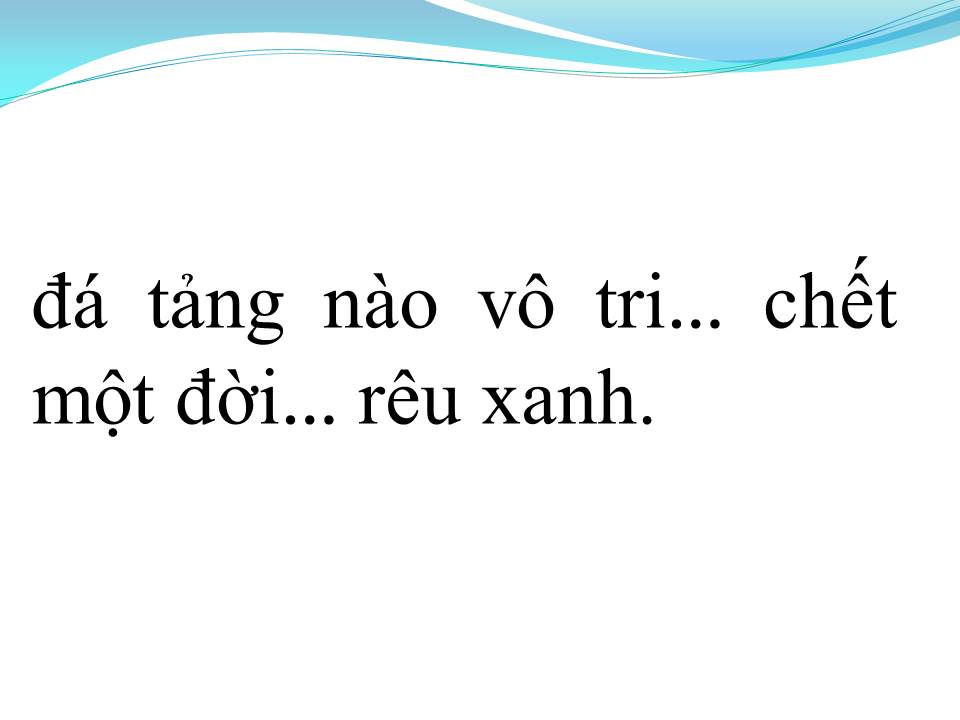 Lời bài hát LỜI RÊU