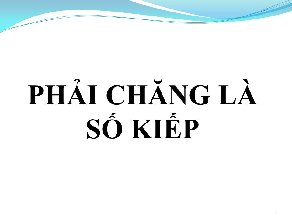 Lời bài hát PHẢI CHĂNG LÀ SỐ KIẾP