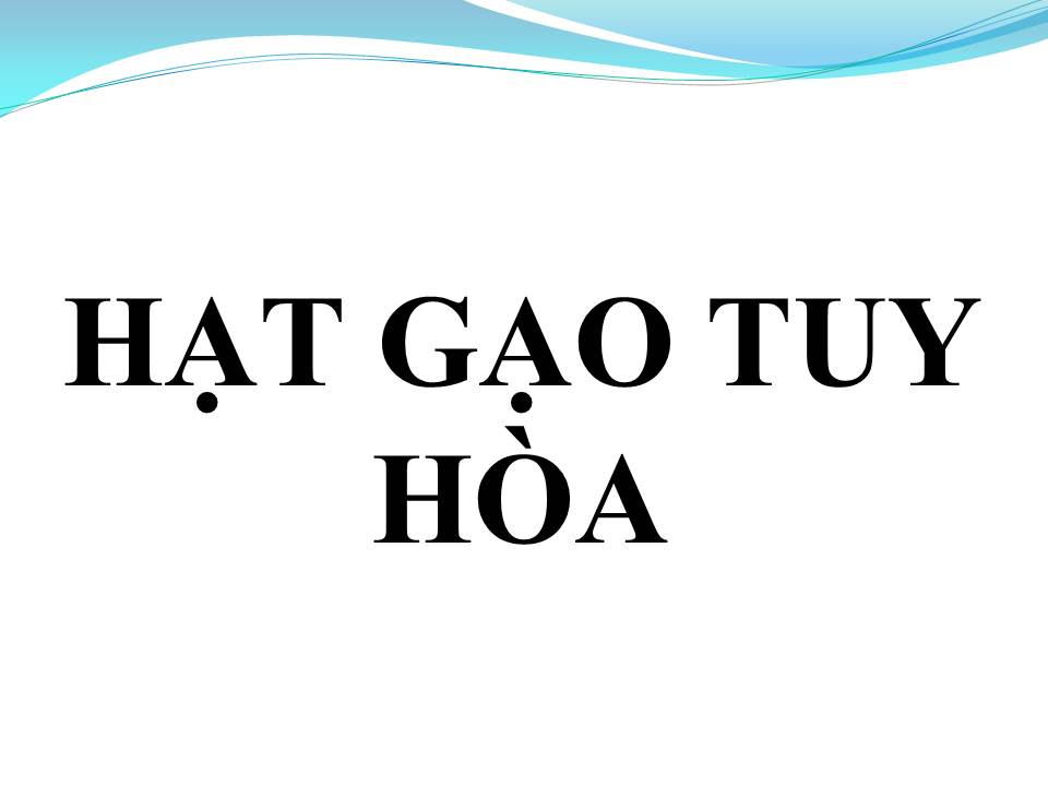 Lời bài hát HẠT GẠO TUY HÒA