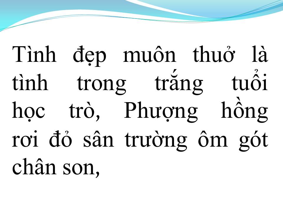 Lời bài hát TÌNH ĐẸP MUÔN THUỞ