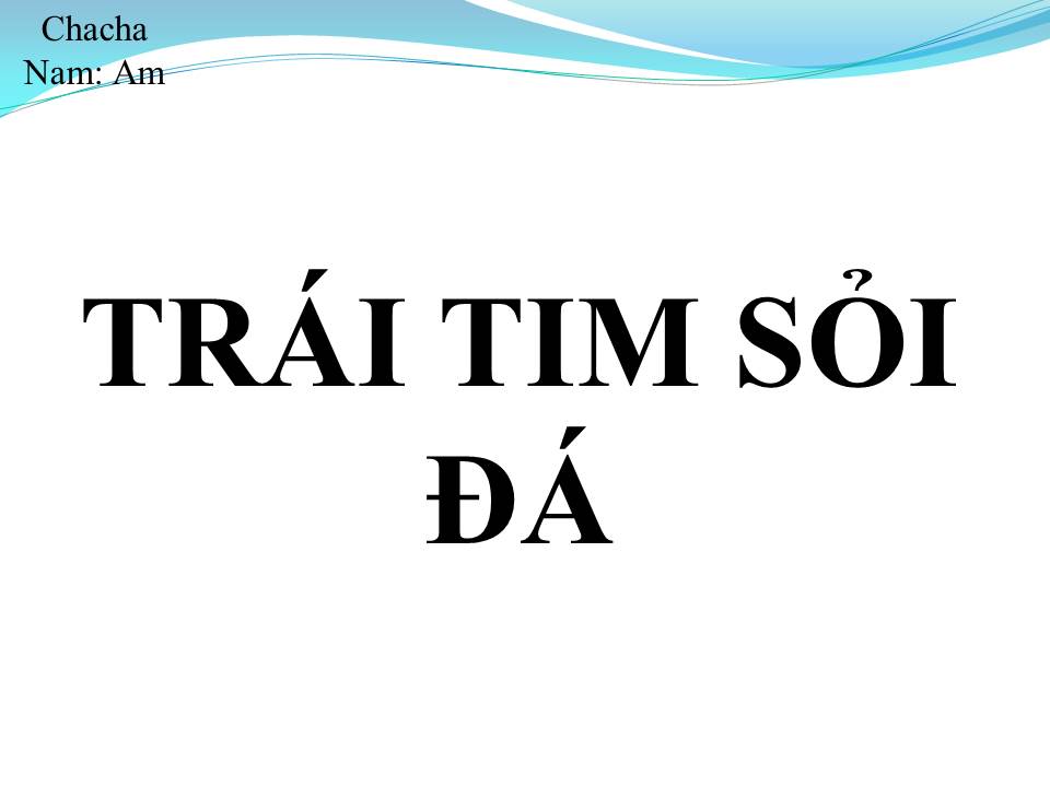 Lời bài hát TRÁI TIM SỎI ĐÁ