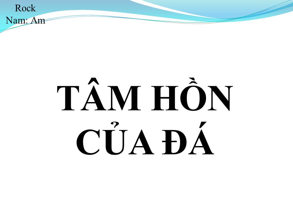 Lời bài hát TÂM HỒN CỦA ĐÁ