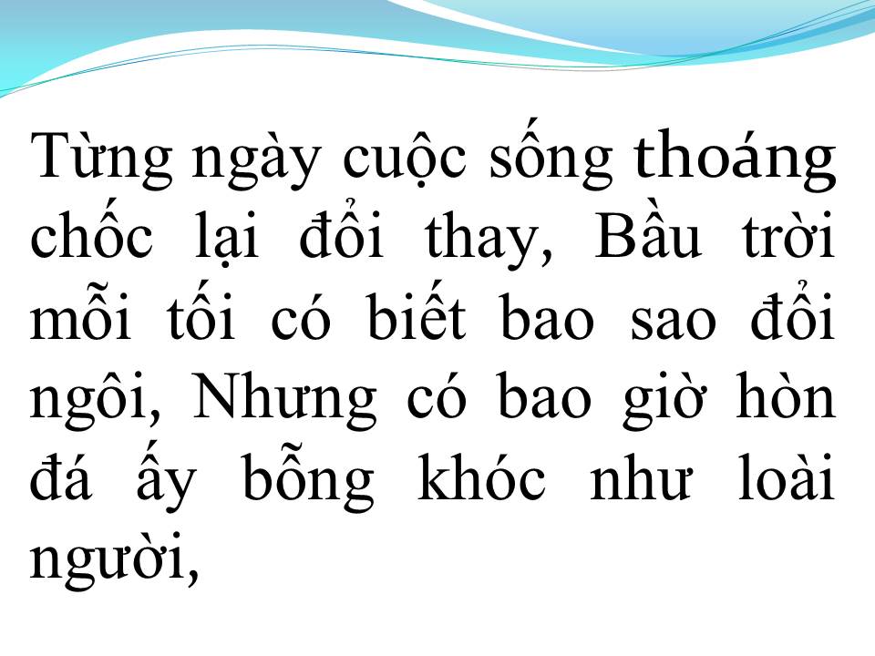 Lời bài hát TÂM HỒN CỦA ĐÁ