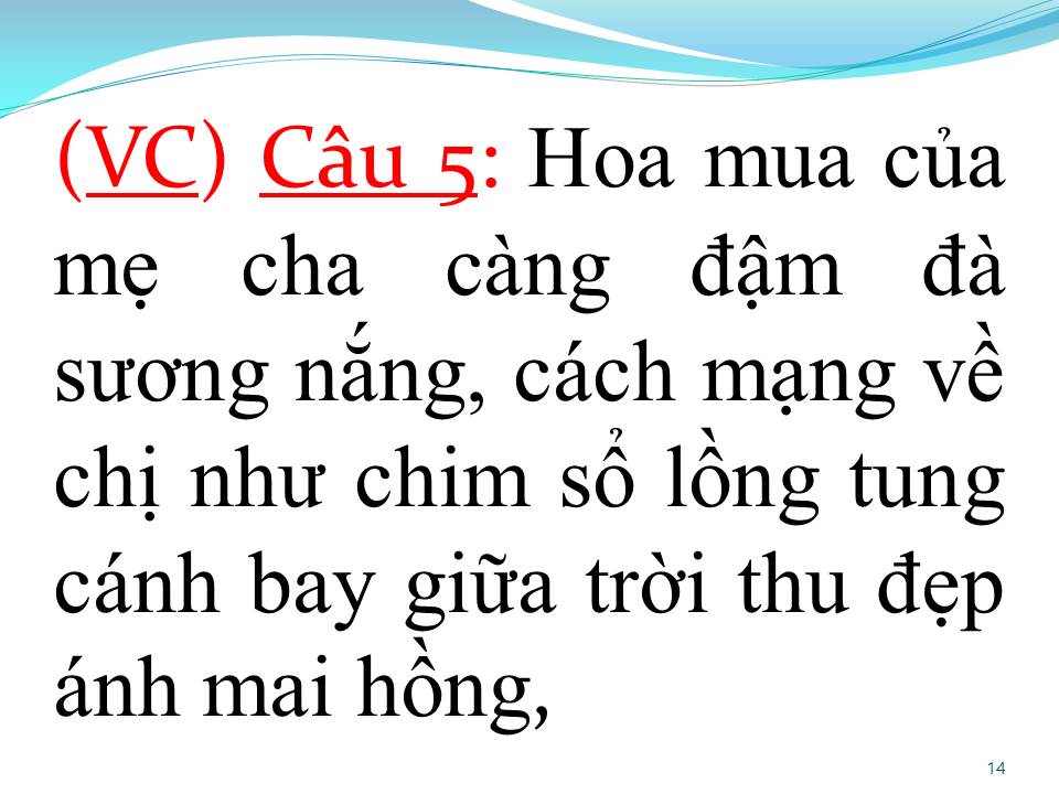 Lời bài hát HOA MUA TRẮNG (TÂN CỔ)