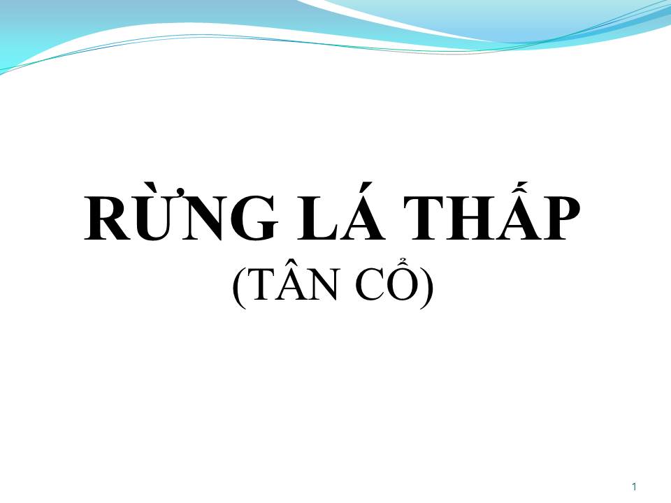 Lời bài hát RỪNG LÁ THẤP (TÂN CỔ)