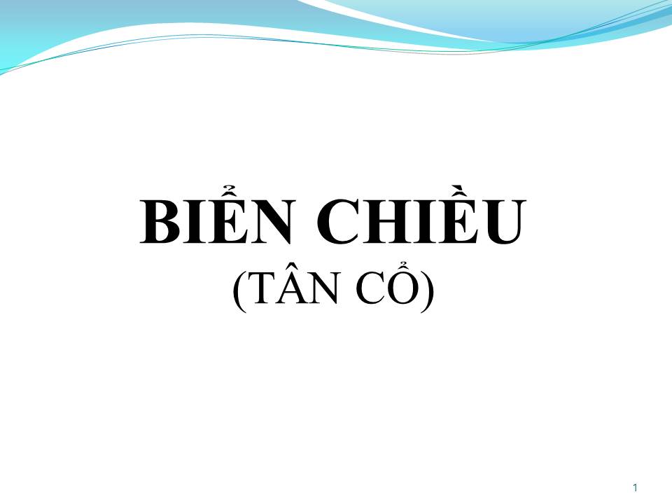 Lời bài hát BIỂN CHIỀU (TÂN CỔ)