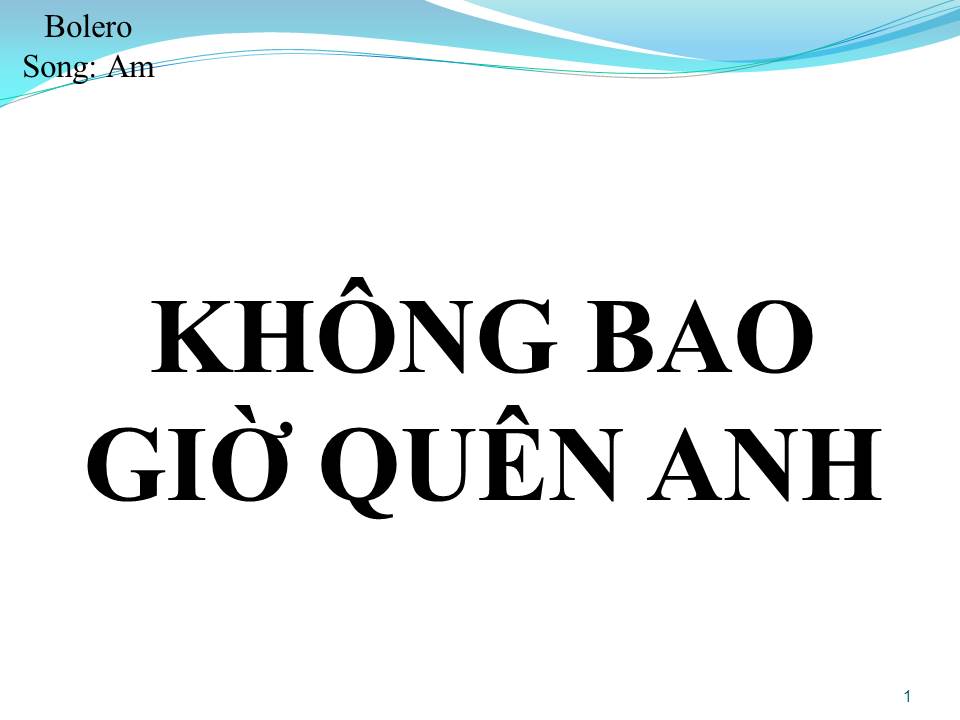 Lời bài hát KHÔNG BAO GIỜ QUÊN ANH (SONG CA)