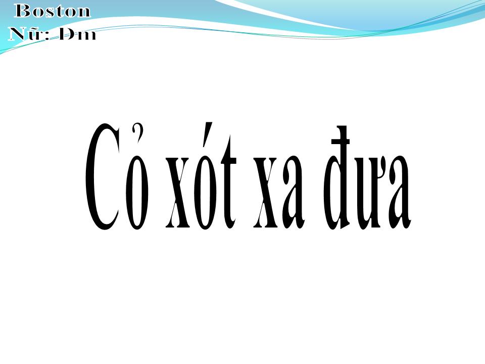 Lời bài hát CỎ XÓT XA ĐƯA