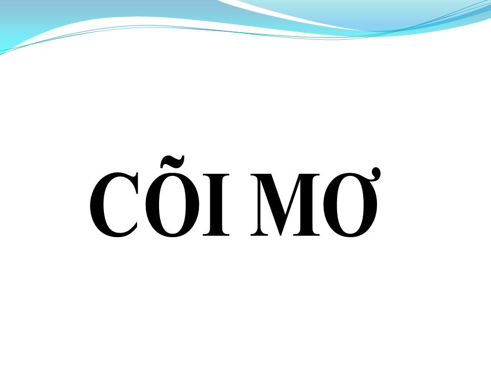 Lời bài hát CÕI MƠ