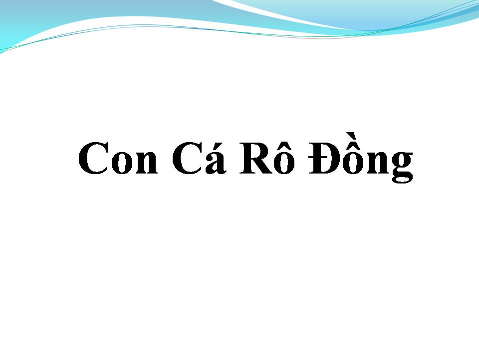 Lời bài hát CON CÁ RÔ ĐỒNG