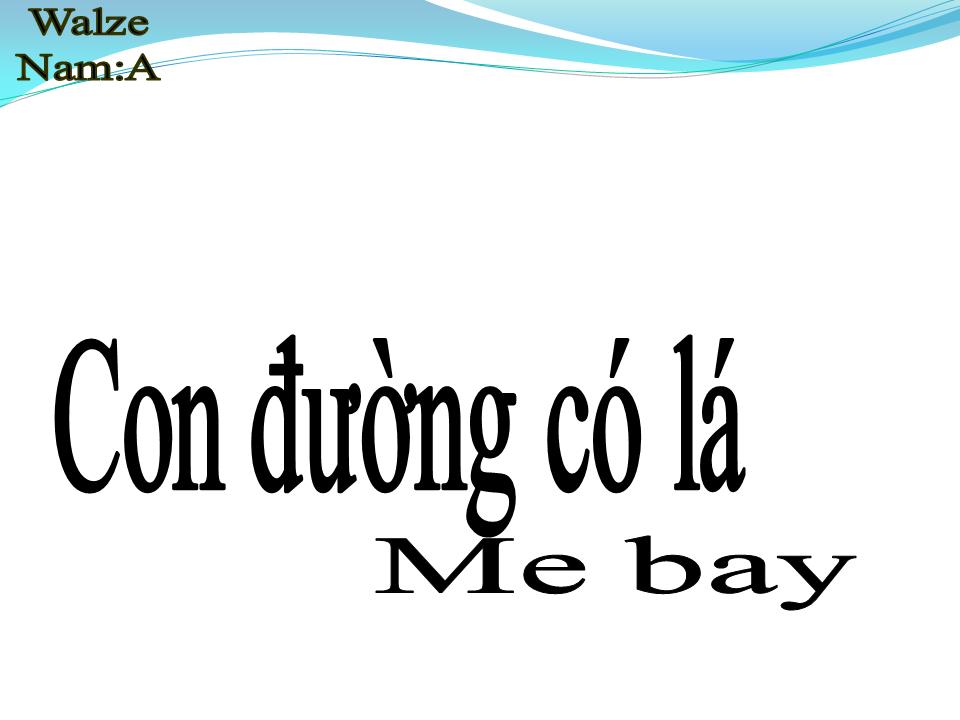 Lời bài hát CON ĐƯỜNG CÓ LÁ ME BAY