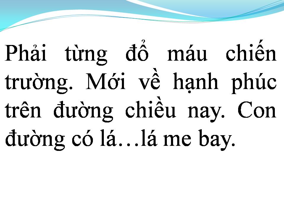 Lời bài hát CON ĐƯỜNG CÓ LÁ ME BAY