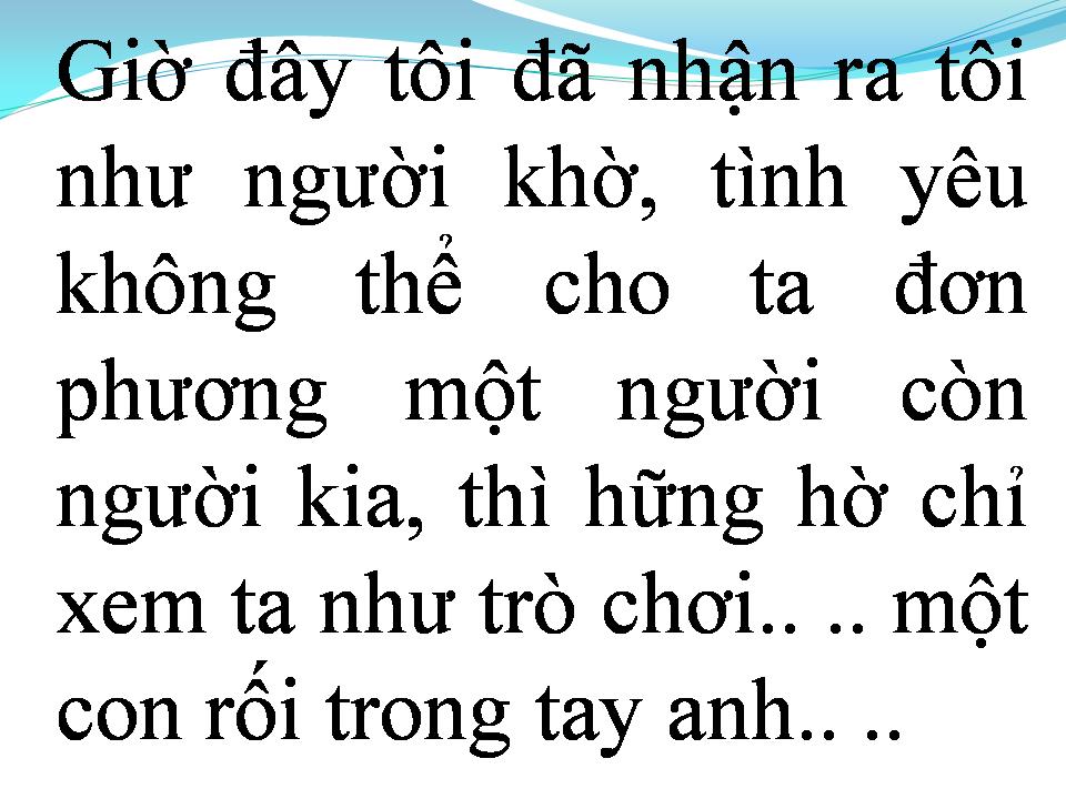 Lời bài hát CON RỐI