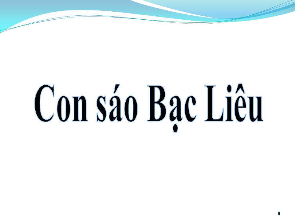 Lời bài hát CON SÁO BẠC LIÊU