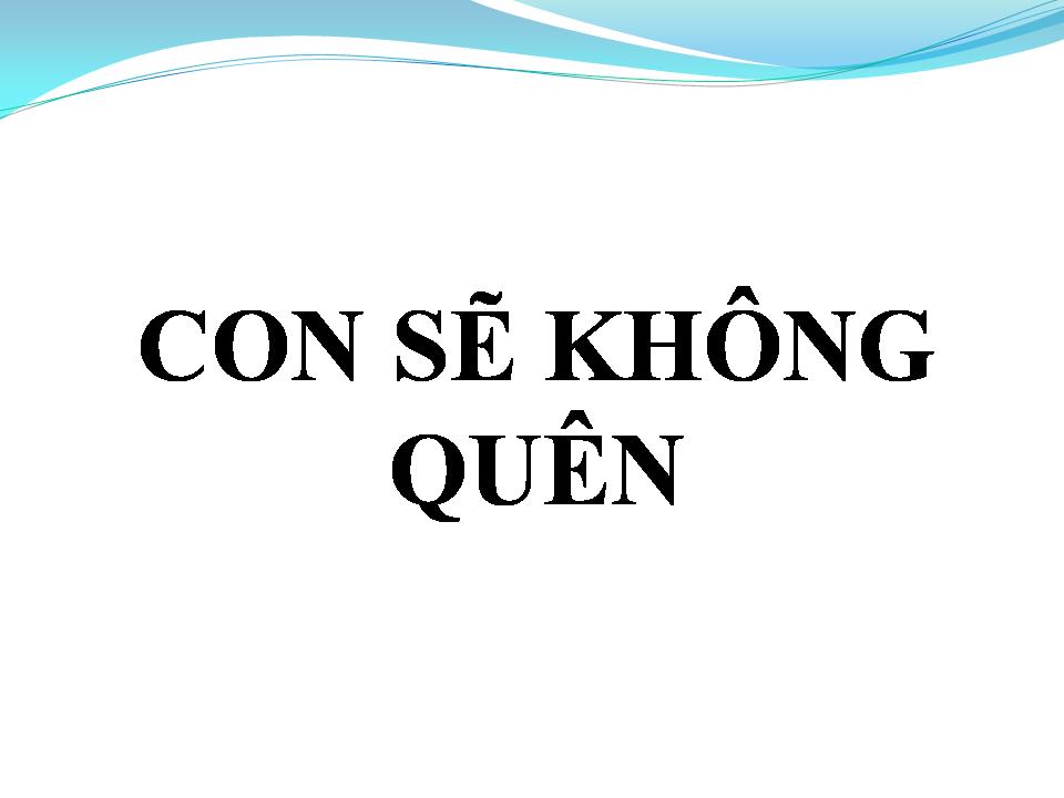 Lời bài hát CON SẼ KHÔNG QUÊN