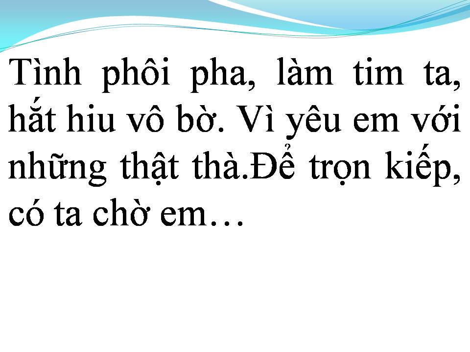 Lời bài hát CON TIM THẬT THÀ