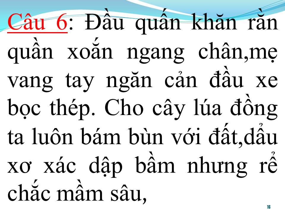 Lời bài hát QUÊ HƯƠNG TÌNH MẸ (TÂN CỔ)