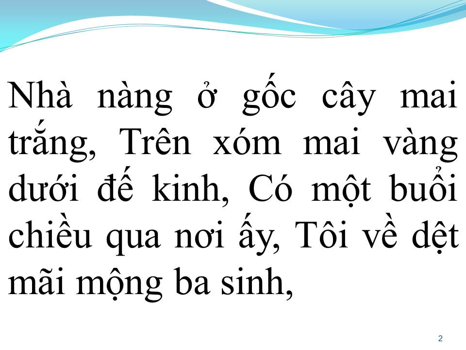 Lời bài hát CHUYỆN TÌNH HOA MAI