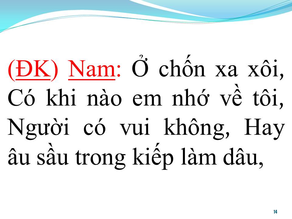 Lời bài hát TÌNH CÂY ĐU ĐỦ (SONG CA)