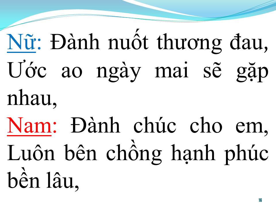 Lời bài hát TÌNH CÂY ĐU ĐỦ (SONG CA)