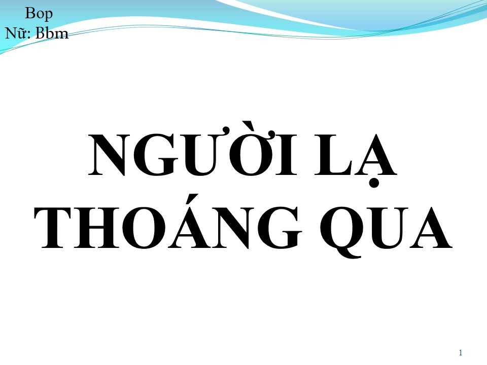 Lời bài hát NGƯỜI LẠ THOÁNG QUA