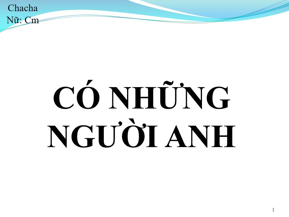 Lời bài hát CÓ NHỮNG NGƯỜI ANH