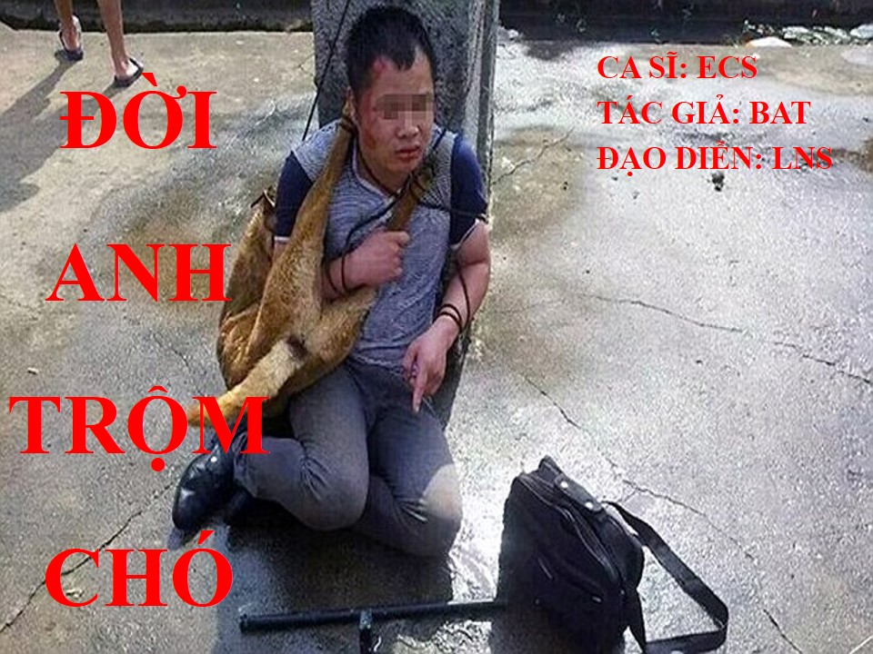 Lời bài hát ĐỜI ANH TRỘM CHÓ