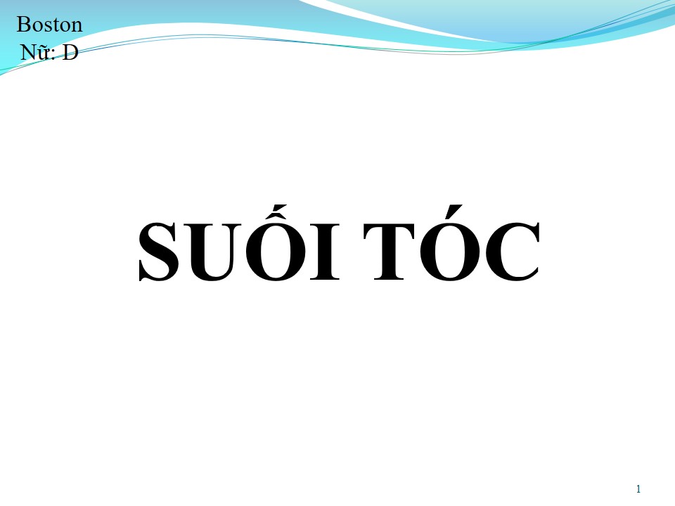 Lời bài hát SUỐI TÓC