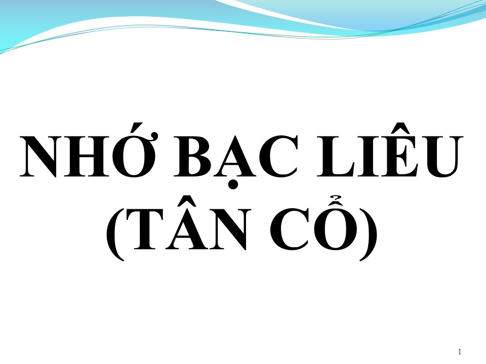 Lời bài hát NHỚ BẠC LIÊU (TÂN CỔ)