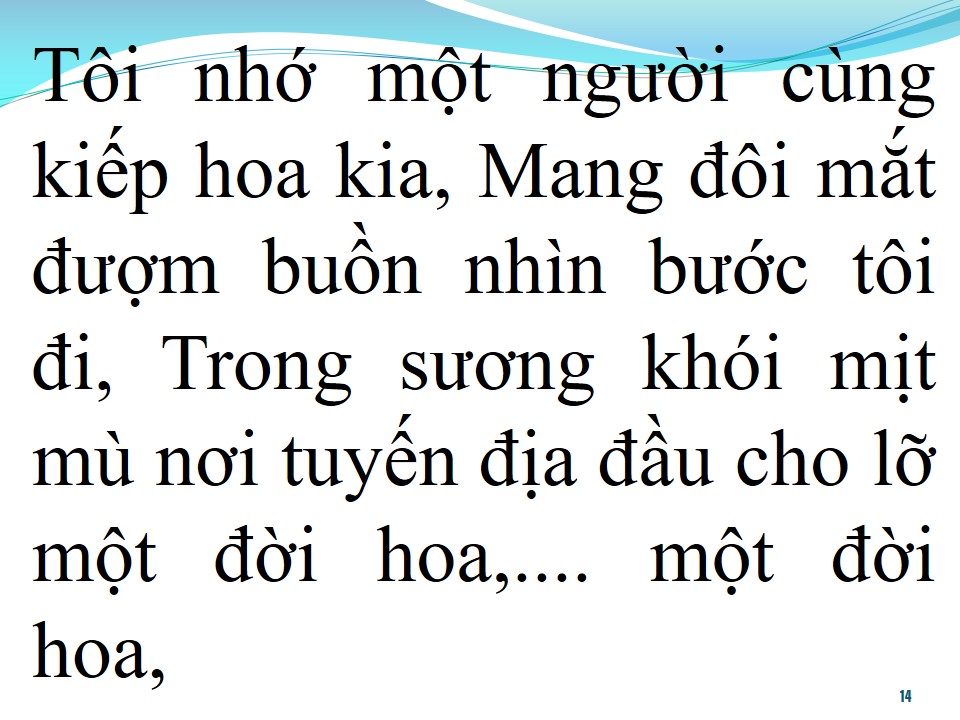 Lời bài hát LOÀI HOA KHÔNG TÊN (SONG CA)