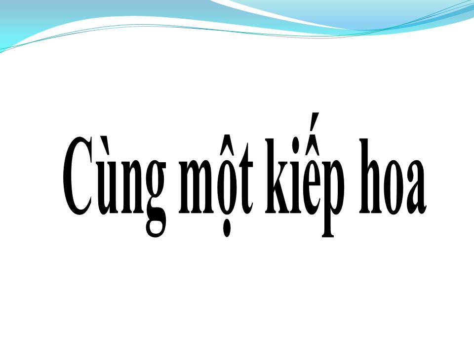 Lời bài hát CÙNG MỘT KIẾP HOA
