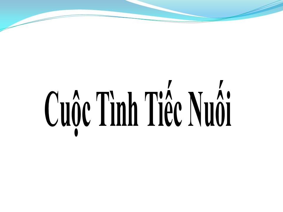 Lời bài hát CUỘC TÌNH TIẾC NUỐI
