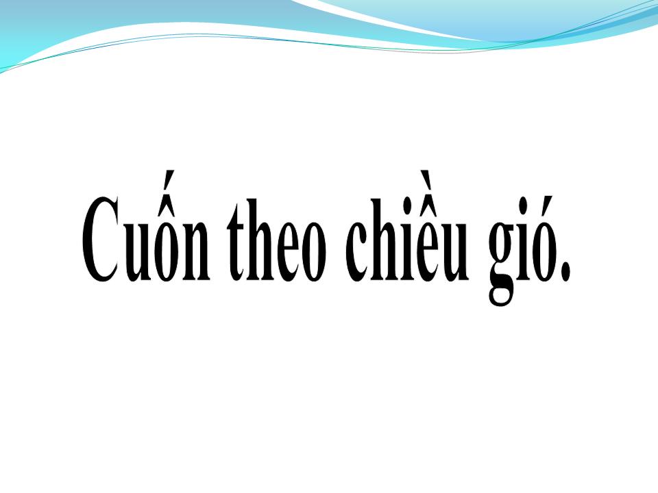 Lời bài hát CUỐN THEO CHIỀU GIÓ