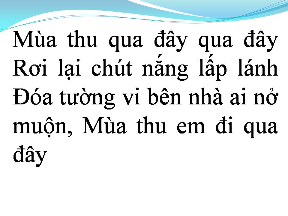 Lời bài hát CHIẾC LÁ VÔ TÌNH