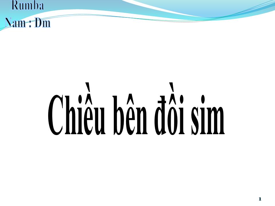 Lời bài hát CHIỀU BÊN ĐỒI SIM