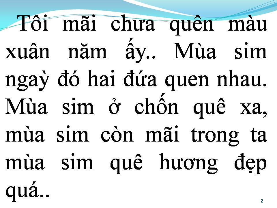Lời bài hát CHIỀU BÊN ĐỒI SIM