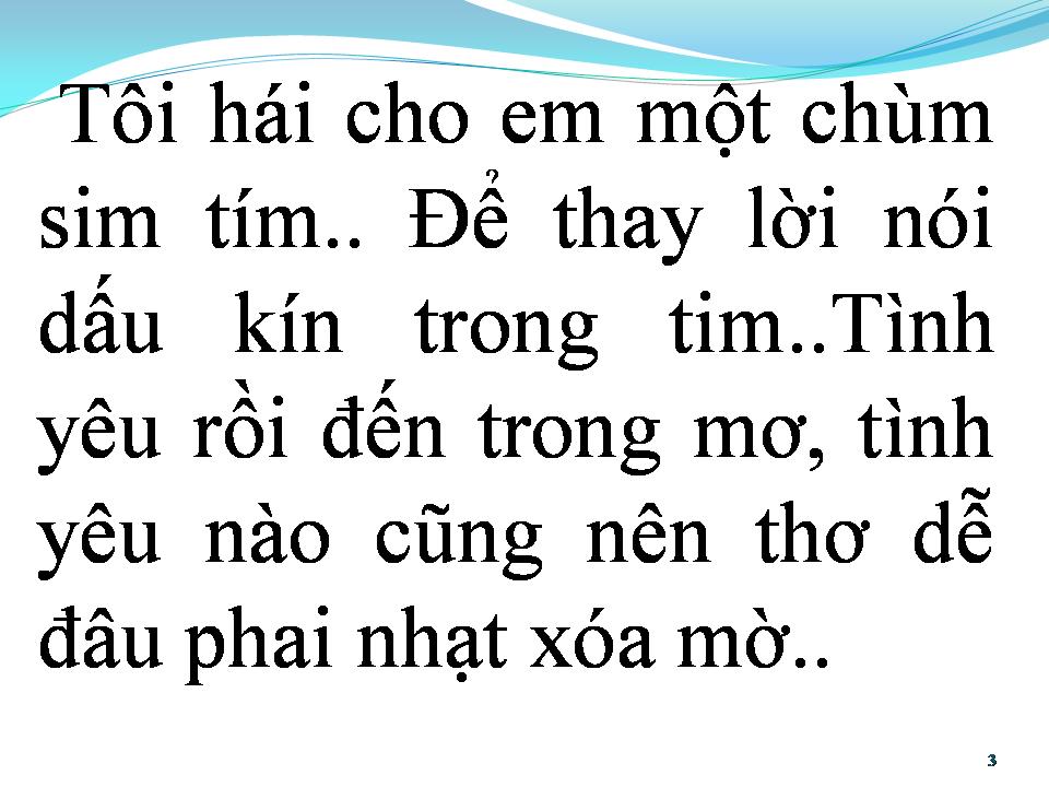 Lời bài hát CHIỀU BÊN ĐỒI SIM