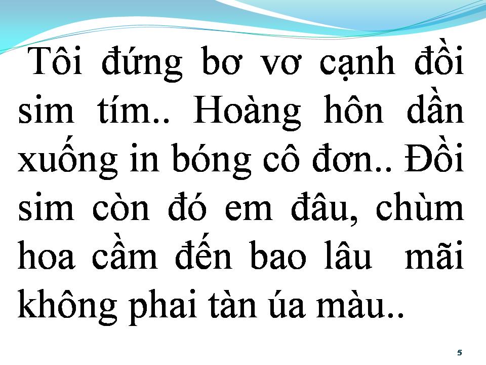 Lời bài hát CHIỀU BÊN ĐỒI SIM